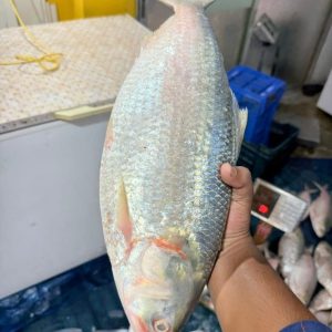 ৭ পিস মাছে ৬ কেজি= ২৭০০ টাকা।